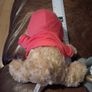 Glendeer Pet Farm teddy bear in pink hoodie Image 2
