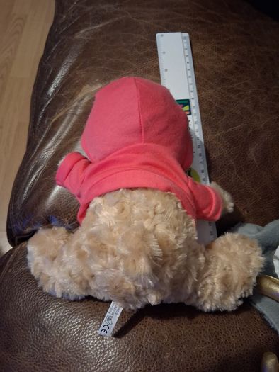 Glendeer Pet Farm teddy bear in pink hoodie
