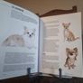 Chihuahua: Dog Breed Expert Series (Hardcover Image 3