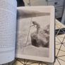 Salmon . A Fish. the Earth. and the History of Their Common Fate by Mark Kurlansky .2020.Hardcover Image 4