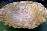Arda Turkish Glass Centerpiece Bowl