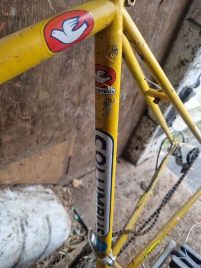 vintage bike frame