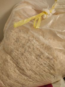 Wood shavings