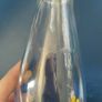 Dublin Millennium milk bottle Image 7