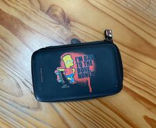 Nintendo DS case