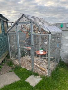 Bird Aviary