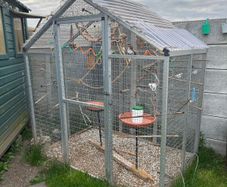 Bird Aviary