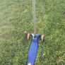 Blue micro scooter Image 2