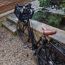 Bicycle Gazelle HeavyDutyNL with Swytch Kit Image 5