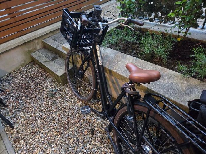 Bicycle Gazelle HeavyDutyNL with Swytch Kit