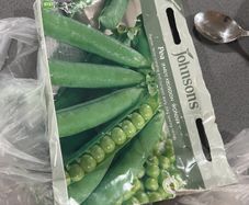 Free pea seeds