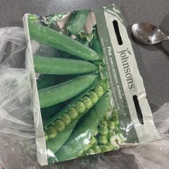 Free pea seeds