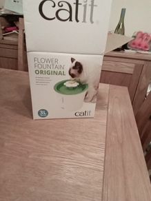 catit flower fountain  original