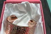 New Absolute Rose Torc Bangle