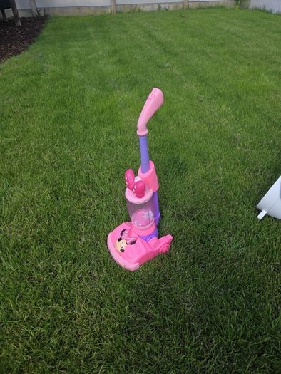 mini mouse hoover