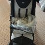 Chicco Stroller for Sale (Excellent Condition) Image 6