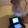 Nintendo DS Image 2