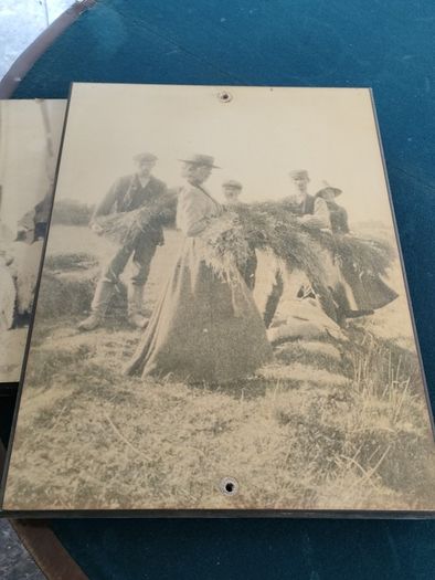 3x period photo prints