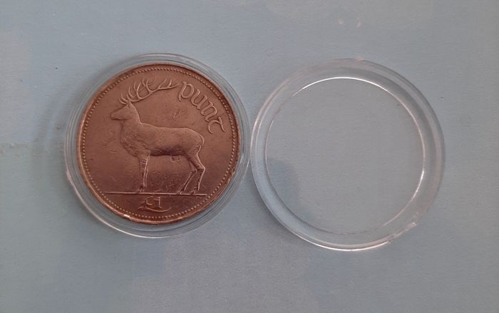 1 pound coin in coin case