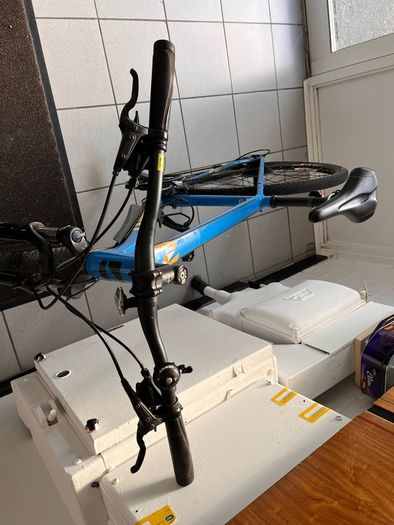 giant bike