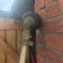 50cc strimmer Image 4