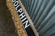 Dolphin Enamel Sign