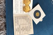 Gold Coin
