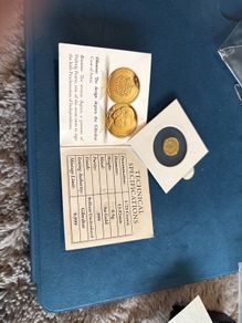 Gold Coin