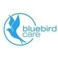 Bluebird Care Meath Jobs in Ireland