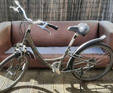 Specialised Expedition Ladies Bike
