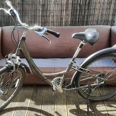 Specialised Expedition Ladies Bike