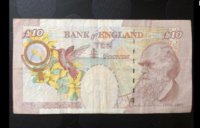 10 pound banknotes from England
