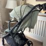 buggy Image 4