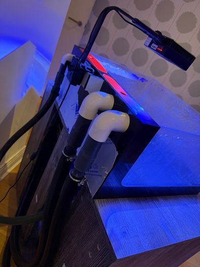 Marine Aquarium Frag Tank, light, pump and Cabinet