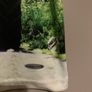O'Neills Jersey Image 3