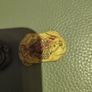 Set of 5 resin fossils Image 9