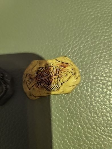 Set of 5 resin fossils