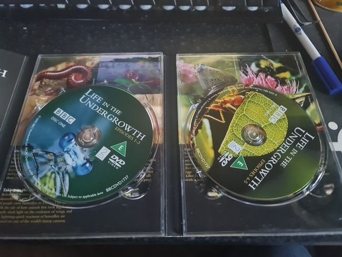 Life in the Undergrowth DVD