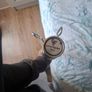adjustable dumbells 5kg to 40kg and curling bar and plates Image 4