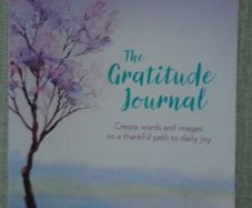 The Gratitude Journal, Lisa Dyer, Paperback , Journal,