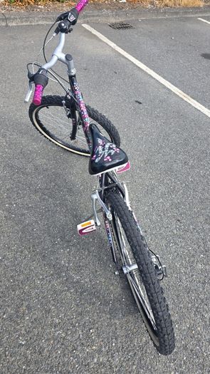 24inch Girls Bike