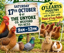Poultry, Bird and Small Animal Sale