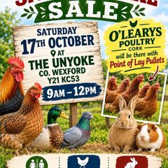 Poultry, Bird and Small Animal Sale