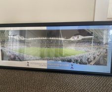 Tottenham Hotspur football club.