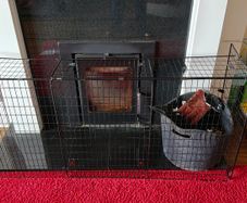 fireguard