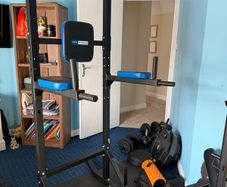 Pro fitness tower gym