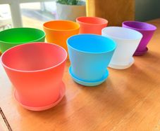 Plant Pot