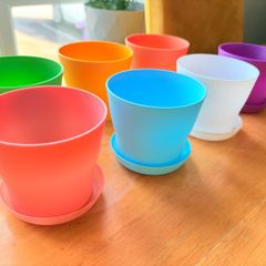 Plant Pot