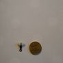 200g(7.05OZ) weights Image 2