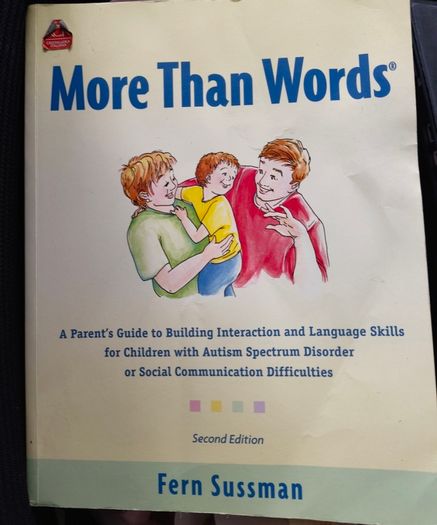 More Than Words book